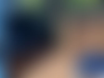 Neuer Ausbau unseres VW Busses Teil 1