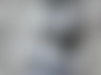 Unsere wundervolle VAN Hochzeit