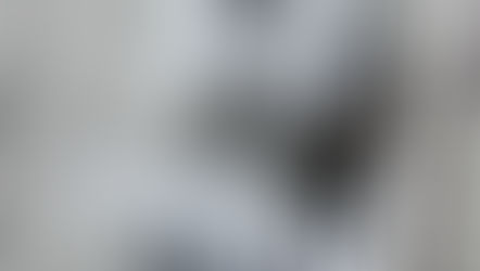 Unsere wundervolle VAN Hochzeit