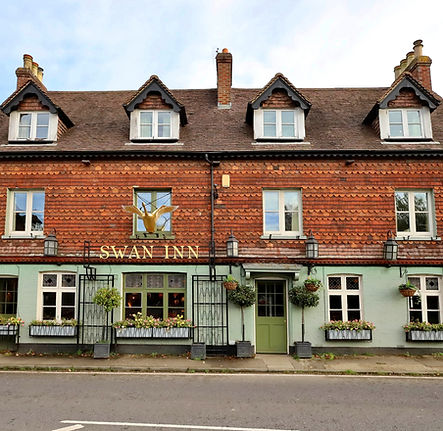 The Swan 10_Original.jpg