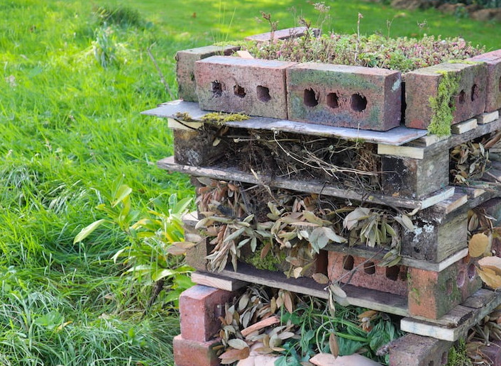 Bug-hotel-how-to-make-guide-garden-ninja.jpeg