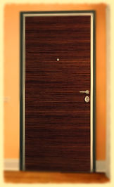 Fire Security Door