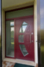 DSC9404 Security Door
