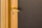 MMD9728 Security Door