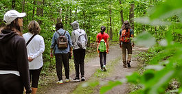 Forest bathing washes away stress and boosts health, says local practitioner