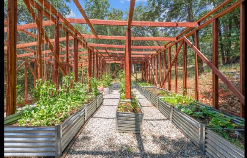 FB_IMG_1749660456100