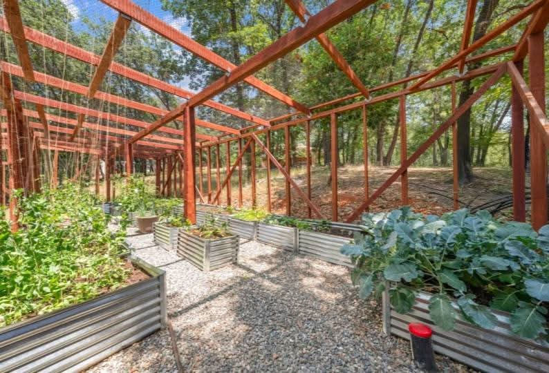 FB_IMG_1749660461912