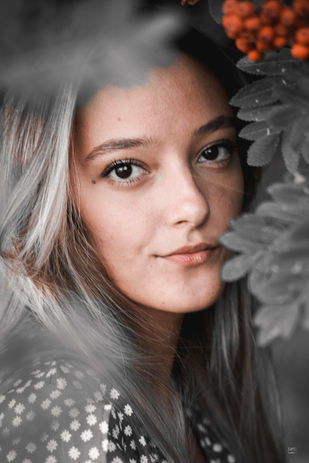 245A3342_1 copie.jpg