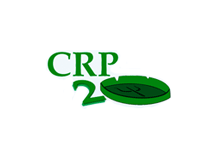 CRP 20  