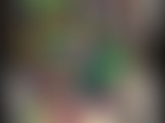 Since 28/12/1980 📌