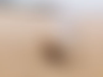 Klarheit finden – wenn der Nebel sich langsam lichtet