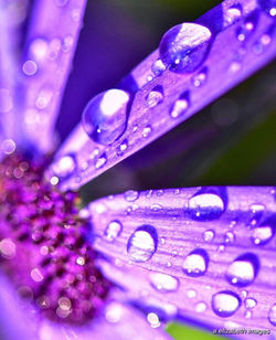 537379555_10162153669962404_3349570939369586931_n