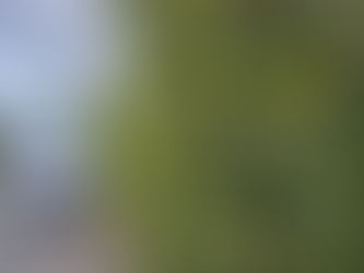 鳥栖まで