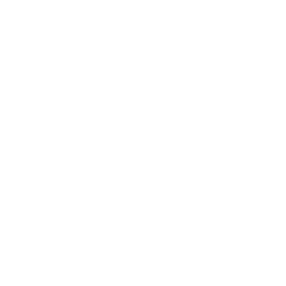 コンサートに行こう