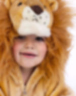 Lion Costume
