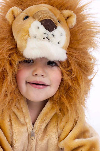 Lion Costume
