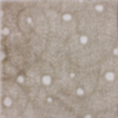 Alazan ID# 31858 Design #3 (sample 2x2)