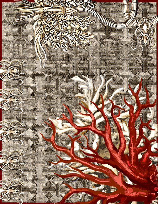 Modern Antiques Rug