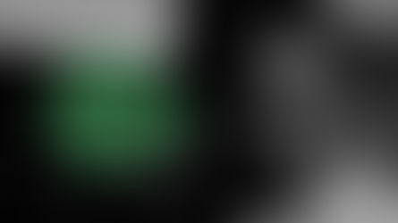 Night of the Living Dead 1968 Red Rose Horror header