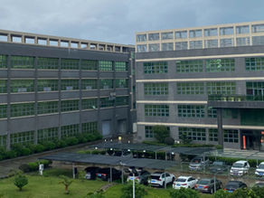 How Peel-and-Stick Wallpaper Is Redefining Event Spaces: A Deep Dive for Commercial Decor Professionals