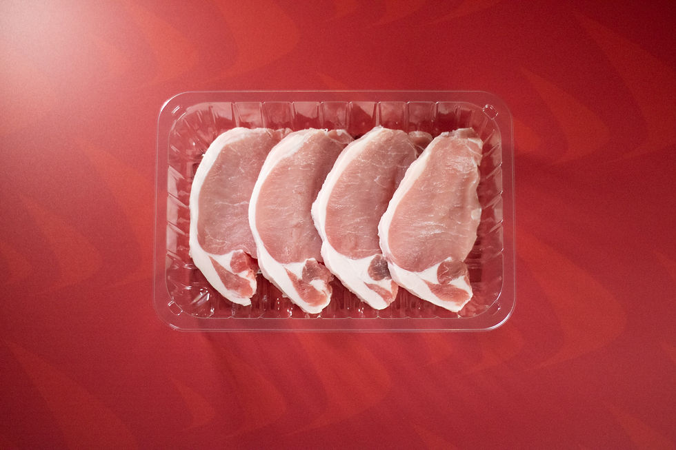 MCC Group December shoot 2024-21