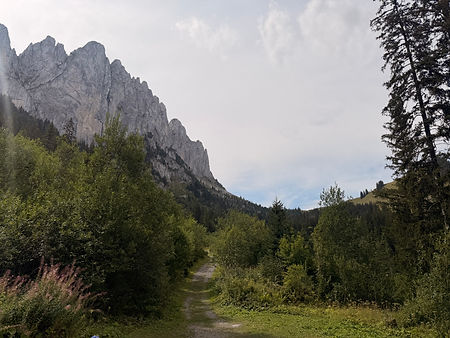 IMG_0146.jpeg