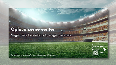 Skærmbillede 2024-06-12 kl. 10.47.27.png