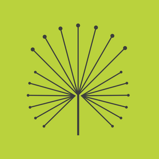 RADIO-HULL's RADIO | Digital launch, available year-round