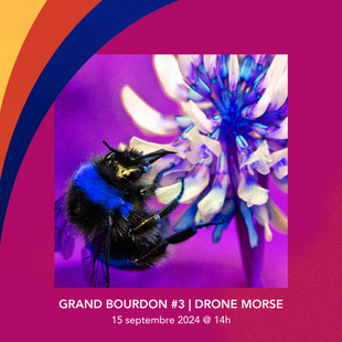 Grand Bourdon de Hull #3 | Drone Morse