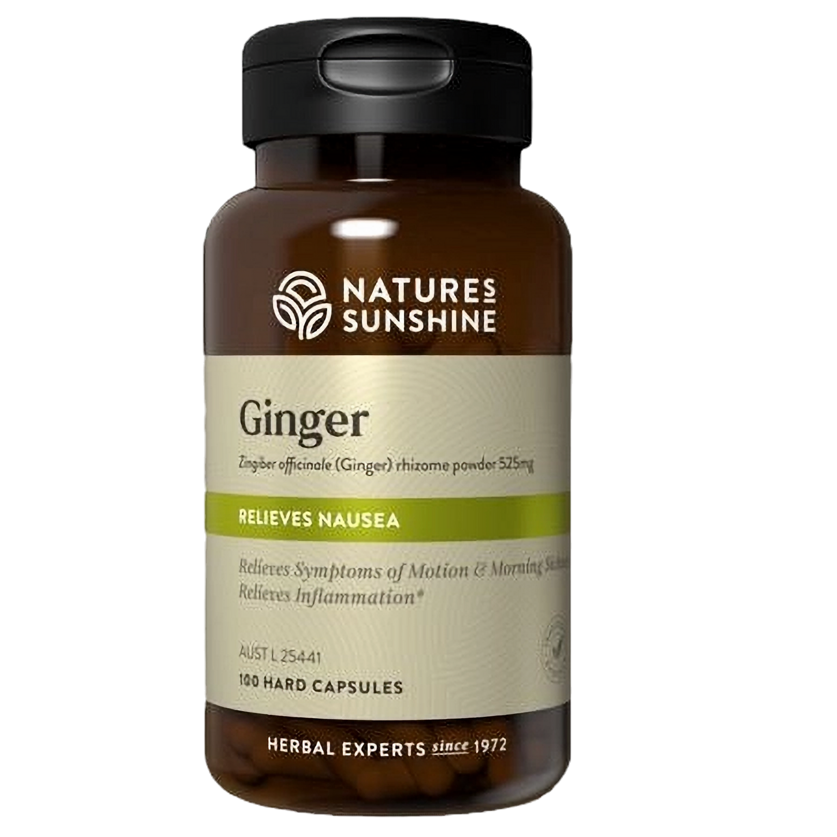 Nature's Sunshine Ginger 100 caps