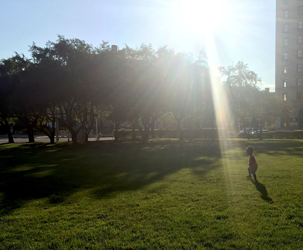 Walk Towards It- Anthology