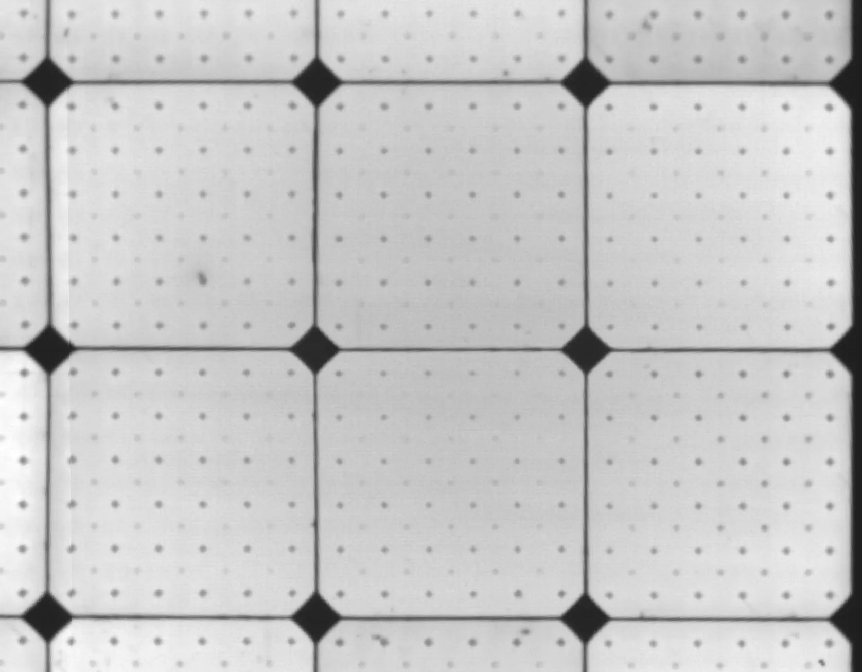 EL+uitsnede-1920w.webp