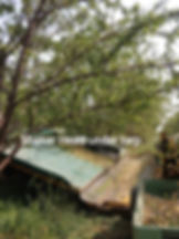 Catch Frame off ground almond harvest