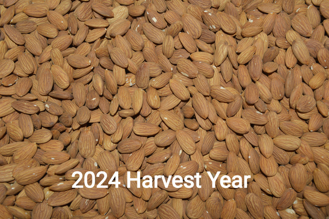 Organic raw Unpasteurized almonds