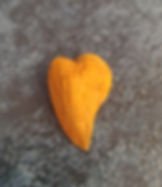 organic raw almonds