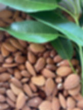Organic Raw Almonds