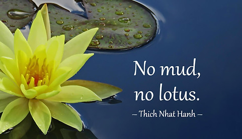 no_mud_no_lotus_Thich_Nhat_Hanh_quote_0d7b4c18-7dc2-4966-865a-0839b821271a.jpg