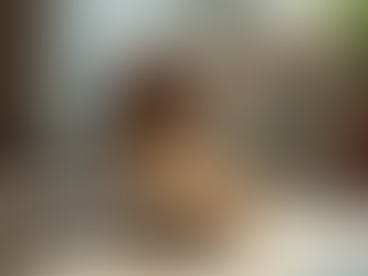 Probiotics help cats digest better