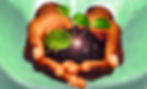 sprout4.jpg