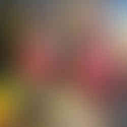 best cooking class in Lisbon