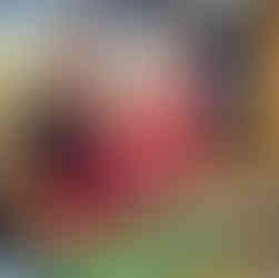 best cooking class in Lisbon