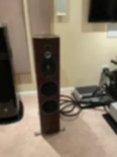 Sonus Faber Olympica Nova III in wenge