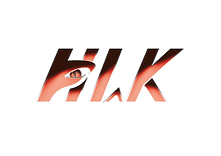 logo model 02 new brander.png