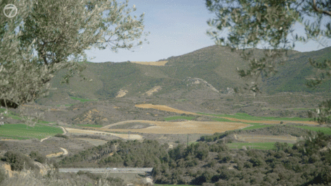 HapticNavigation_MainVideo_Comprssed.gif