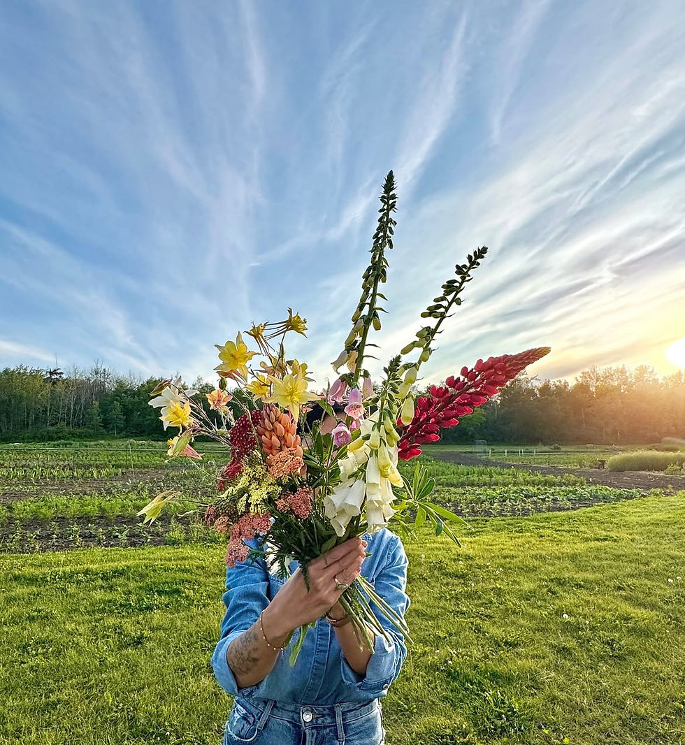 Golden Hour Bloom: Sound Bath, Yoga & Flower Picking (1)