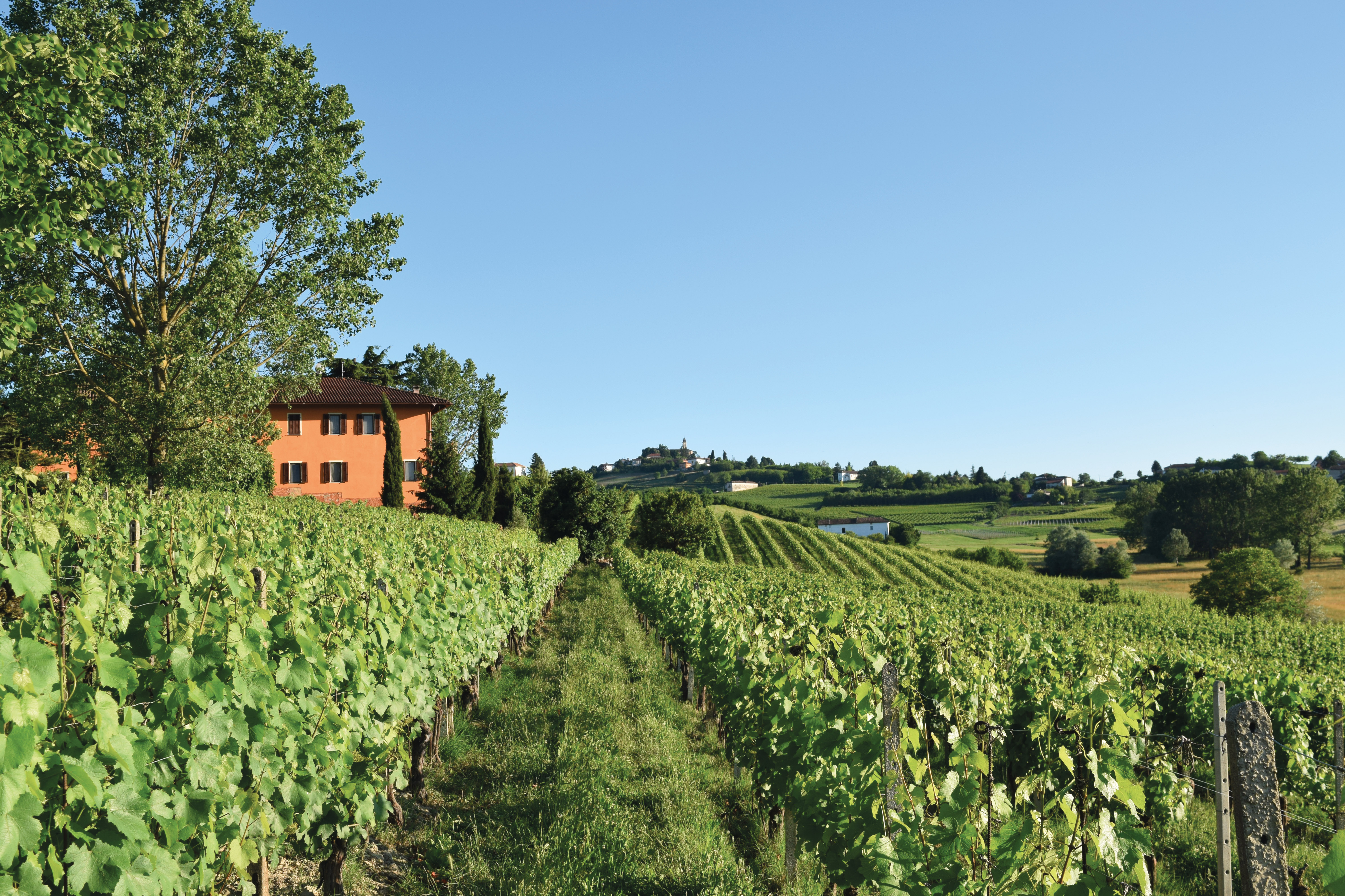 Cascina Guido Berta