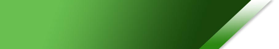 1c34b6_a6305c49f9bd48a9912b64f8d5d50e76_mv2.webp