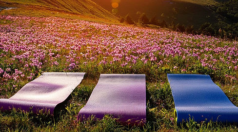 meditazione con le api a vicenza.jpg