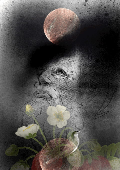 Poes Erdbeerblütennächte