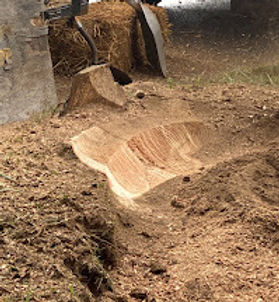 stump grinding 